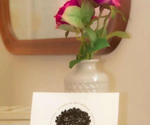 A Casa De Carballo Prázdninový dům Meis